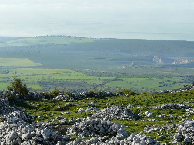 Monte Ividori con valle di Vituro...e vista sul Tavoliere